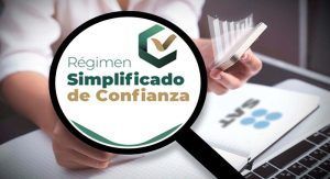 Lee más sobre el artículo Consideraciones respecto al régimen simplificado de confianza para las personas físicas
