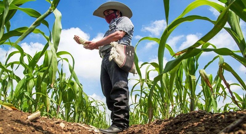 En este momento estás viendo ¿Cómo ha de desarrollarse un juicio agrario cuando las partes sean personas pertenecientes a pueblos o comunidades indígenas o afromexicanas?